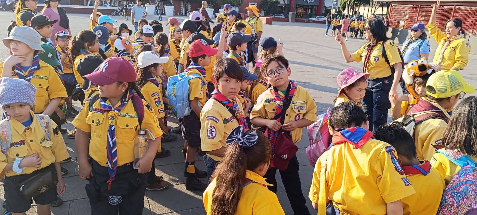 Grupo Scout 10 Santa Cecilia